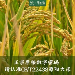 原乐缘原阳大米（编织）5kg